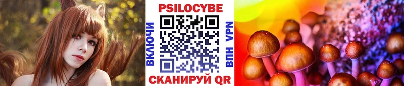 Галлюциногенные грибы Psilocybe  Зеленоградск 