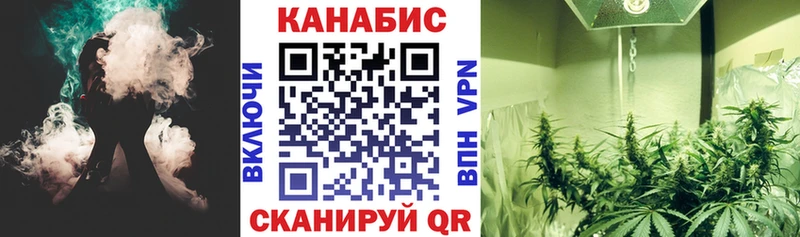 Марихуана планчик  Зеленоградск 
